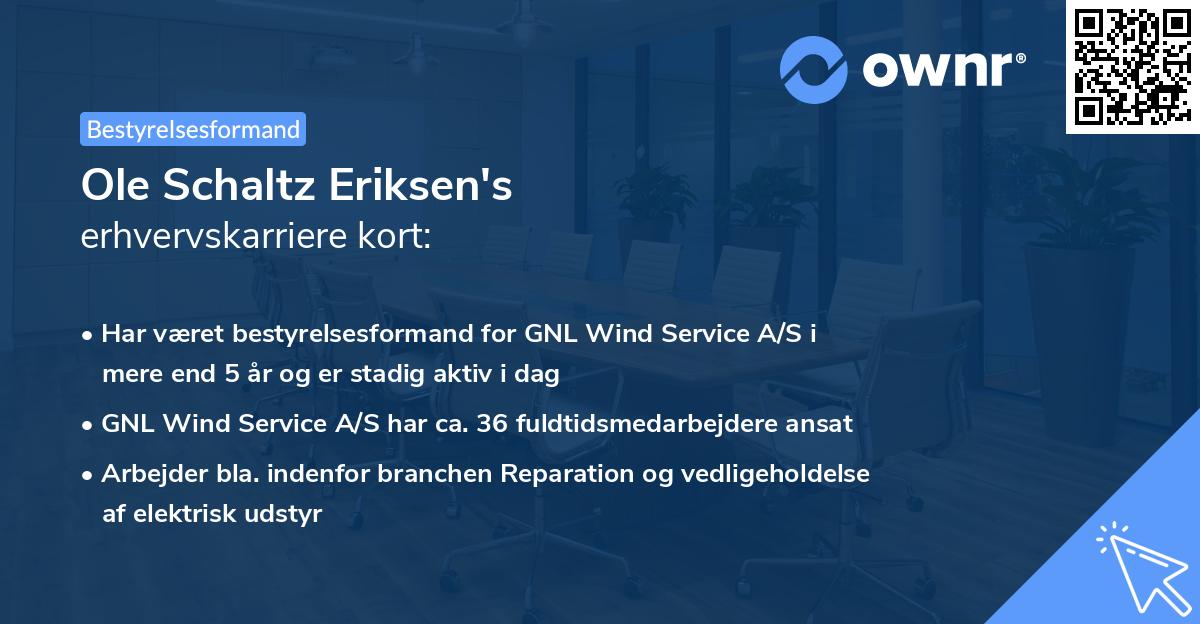 Ole Schaltz Eriksen's erhvervskarriere kort
