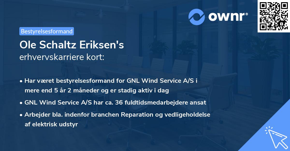 Ole Schaltz Eriksen's erhvervskarriere kort