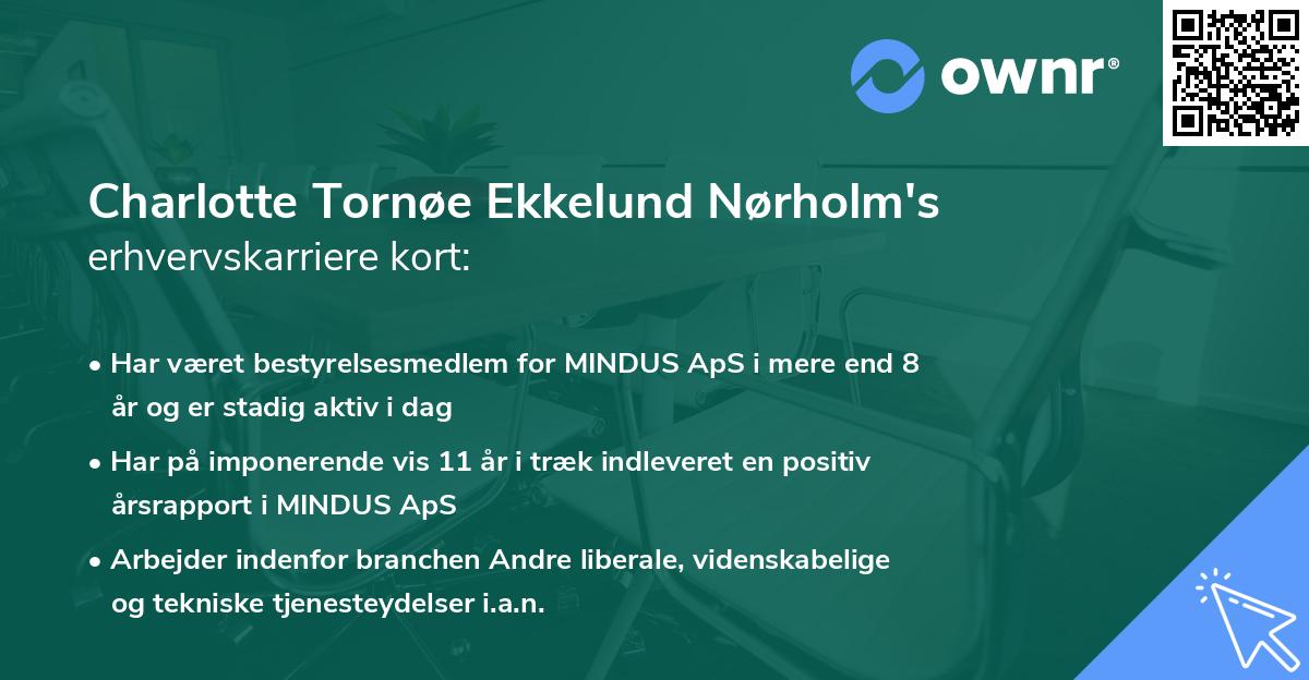 Charlotte Tornøe Ekkelund Nørholm's erhvervskarriere kort
