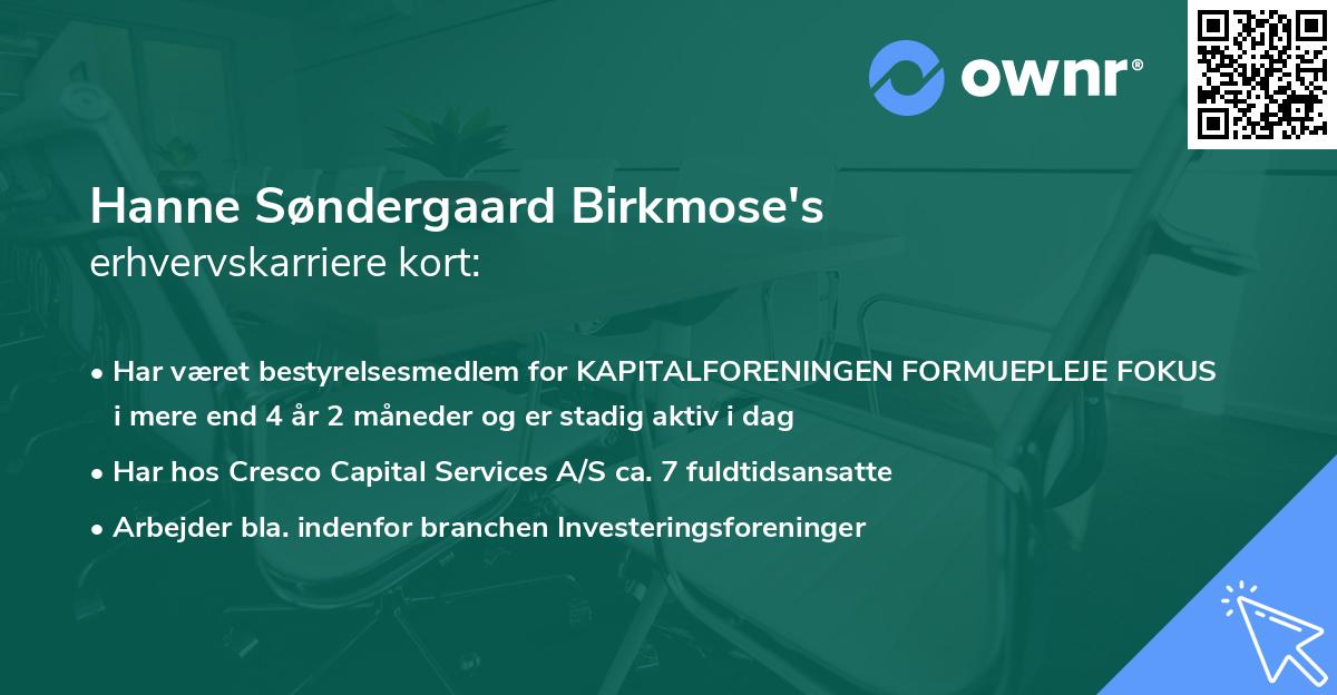 Hanne Søndergaard Birkmose's erhvervskarriere kort