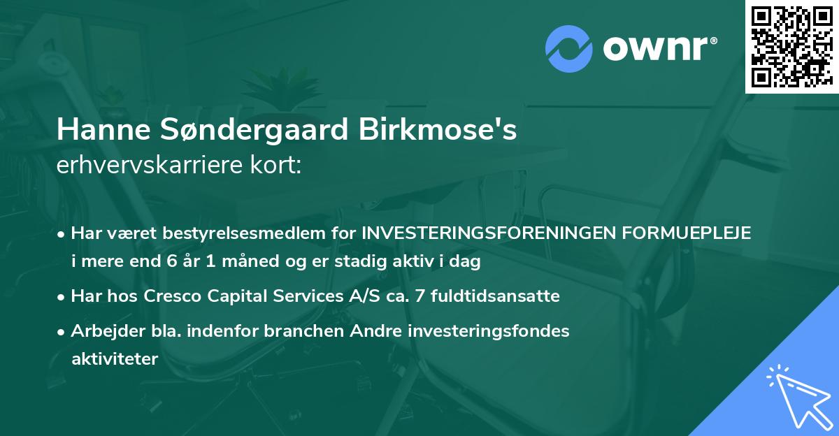 Hanne Søndergaard Birkmose's erhvervskarriere kort