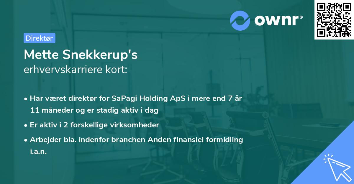 Mette Snekkerup's erhvervskarriere kort