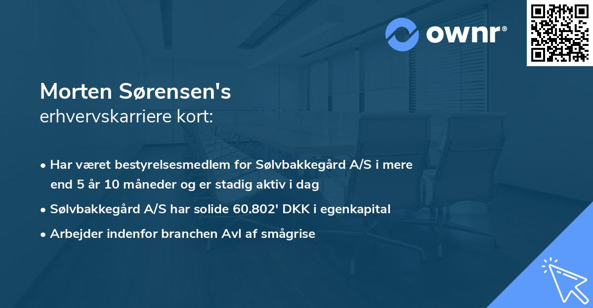Morten Sørensen's erhvervskarriere kort