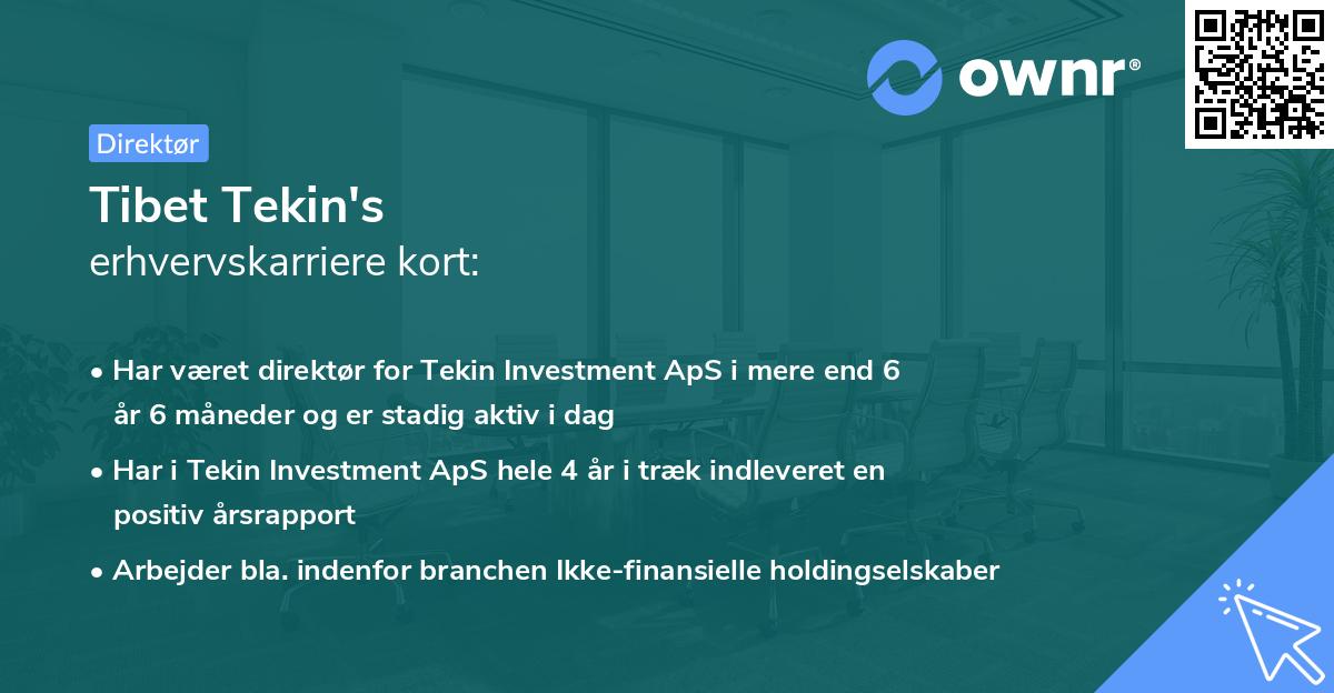 Tibet Tekin's erhvervskarriere kort