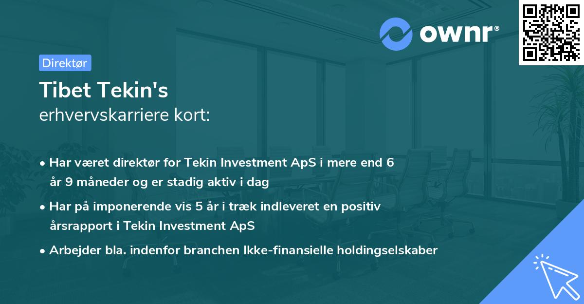 Tibet Tekin's erhvervskarriere kort