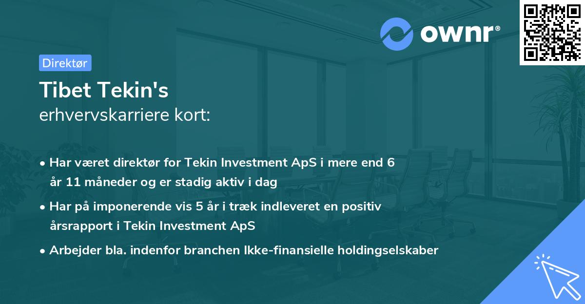 Tibet Tekin's erhvervskarriere kort