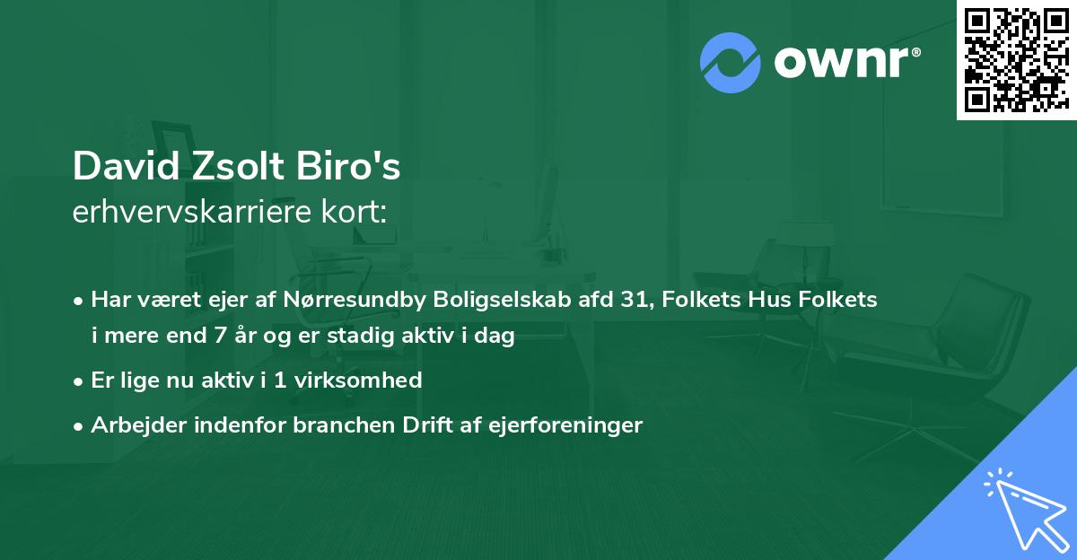 David Zsolt Biro's erhvervskarriere kort