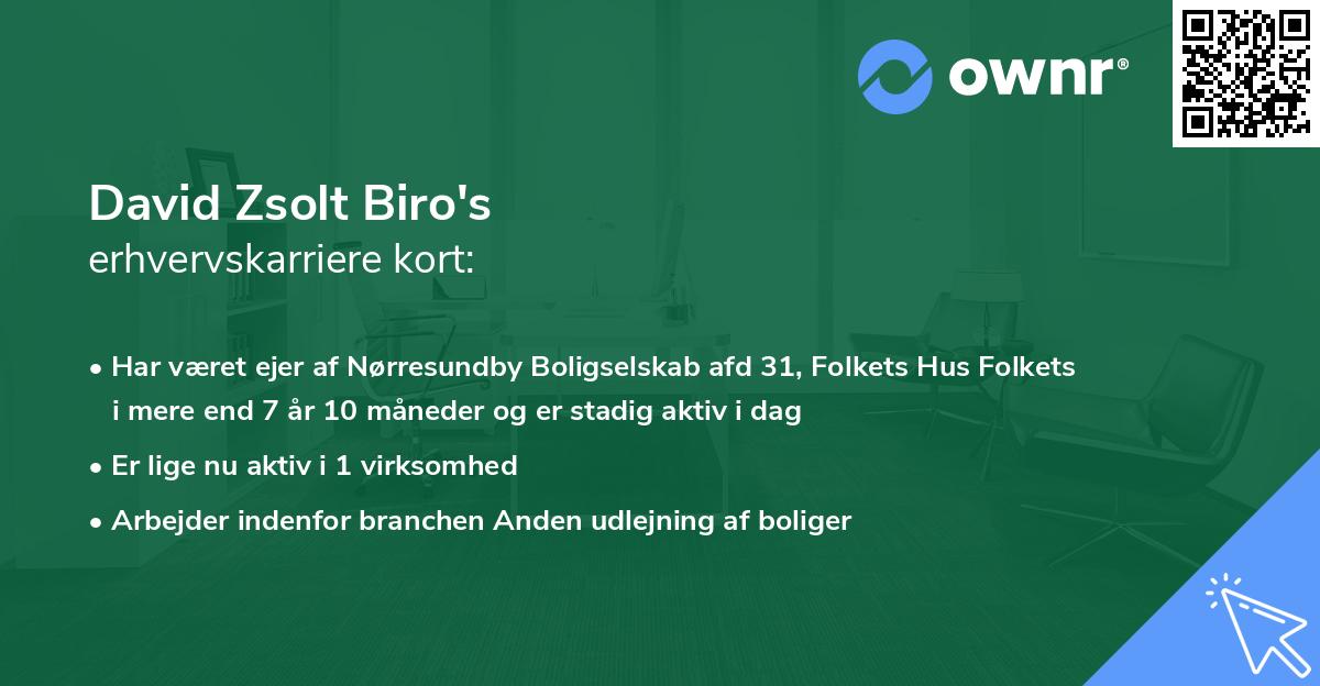 David Zsolt Biro's erhvervskarriere kort
