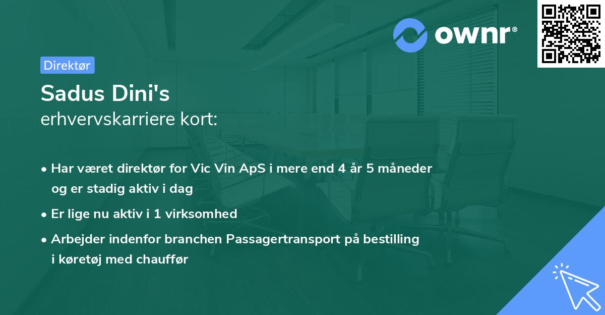 Sadus Dini's erhvervskarriere kort