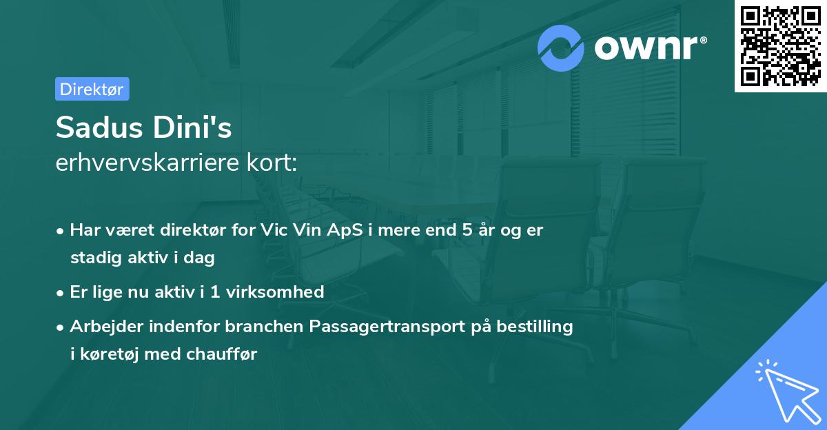 Sadus Dini's erhvervskarriere kort