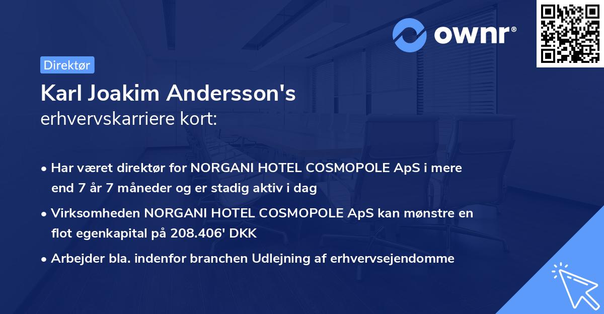 Karl Joakim Andersson's erhvervskarriere kort