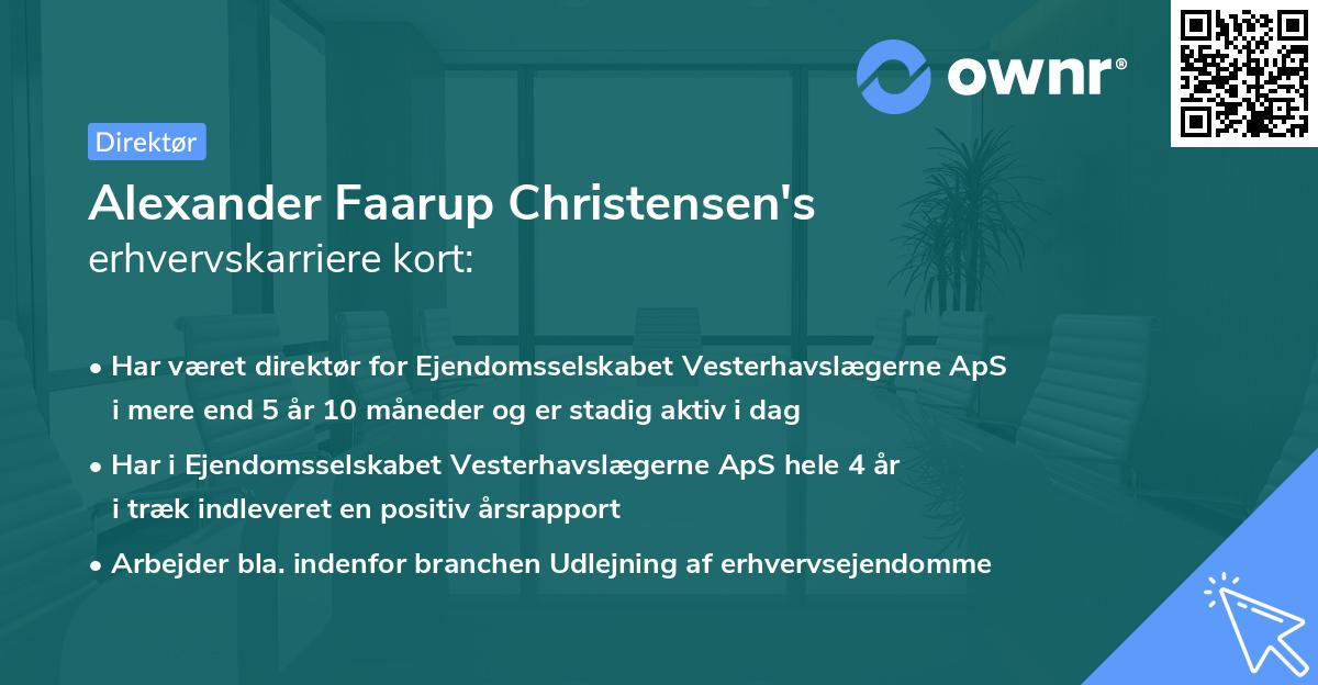 Alexander Faarup Christensen's erhvervskarriere kort