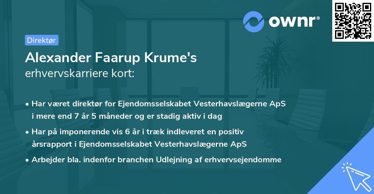 Alexander Faarup Krume's erhvervskarriere kort