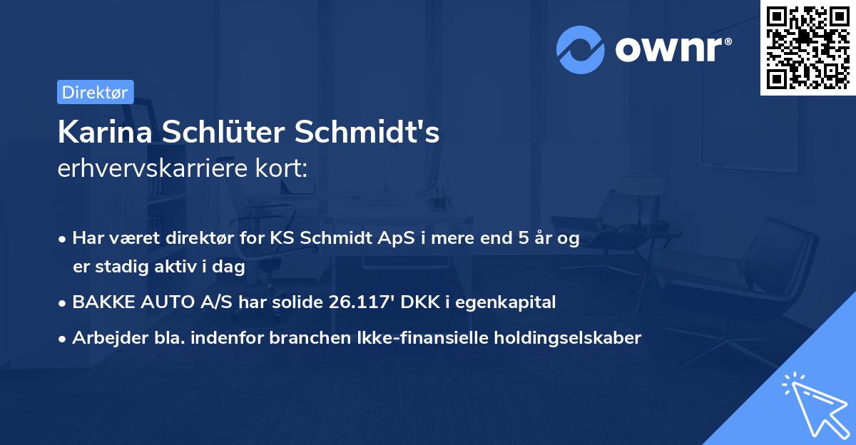 Karina Schlüter Schmidt's erhvervskarriere kort
