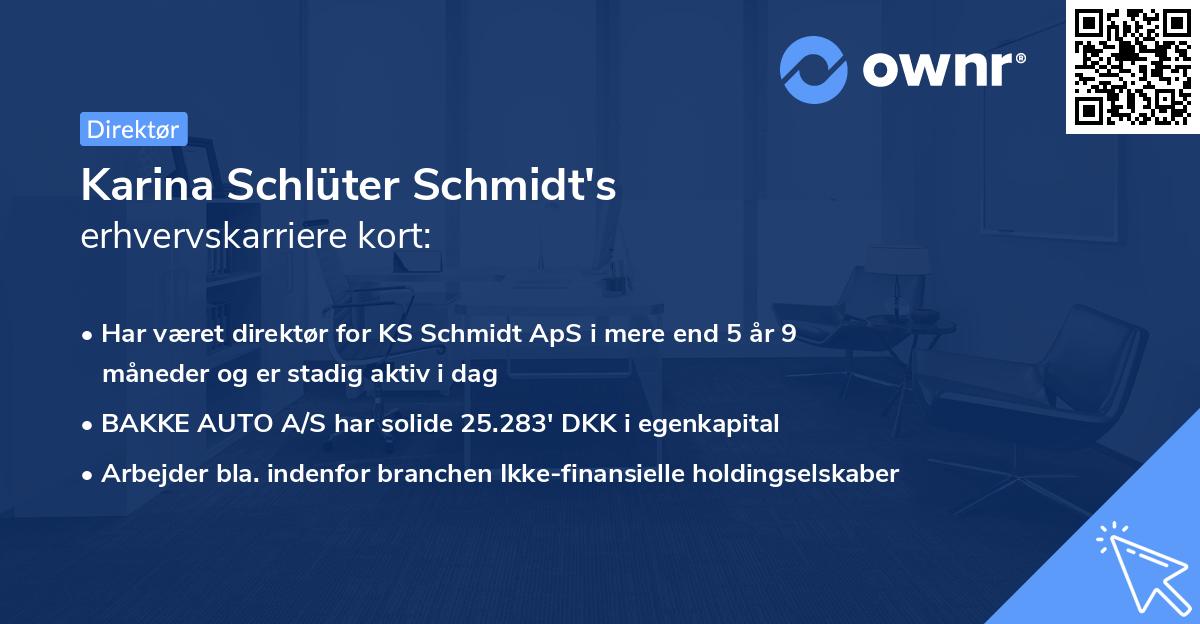 Karina Schlüter Schmidt's erhvervskarriere kort