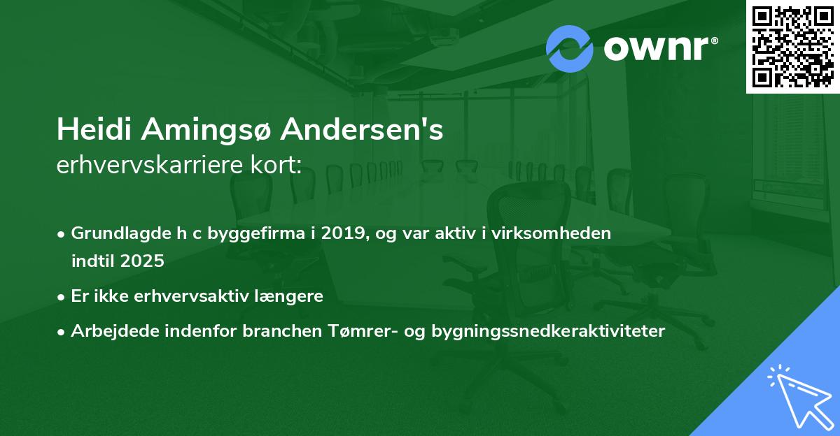 Heidi Amingsø Andersen's erhvervskarriere kort