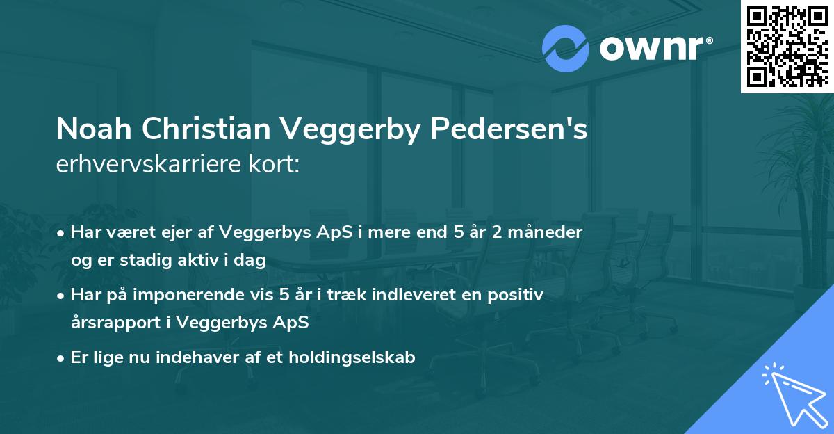 Noah Christian Veggerby Pedersen's erhvervskarriere kort