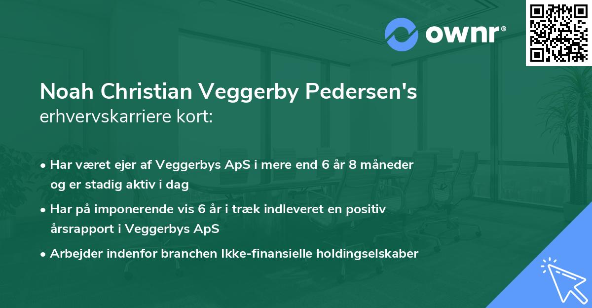 Noah Christian Veggerby Pedersen's erhvervskarriere kort