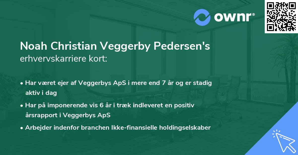 Noah Christian Veggerby Pedersen's erhvervskarriere kort