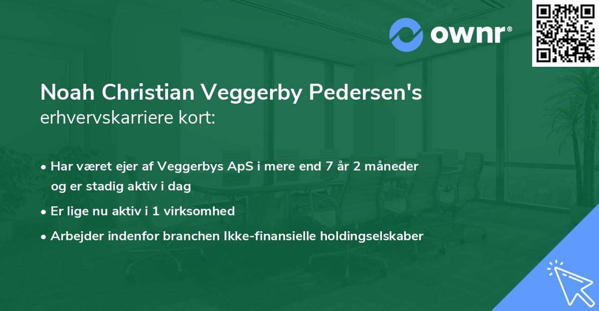 Noah Christian Veggerby Pedersen's erhvervskarriere kort