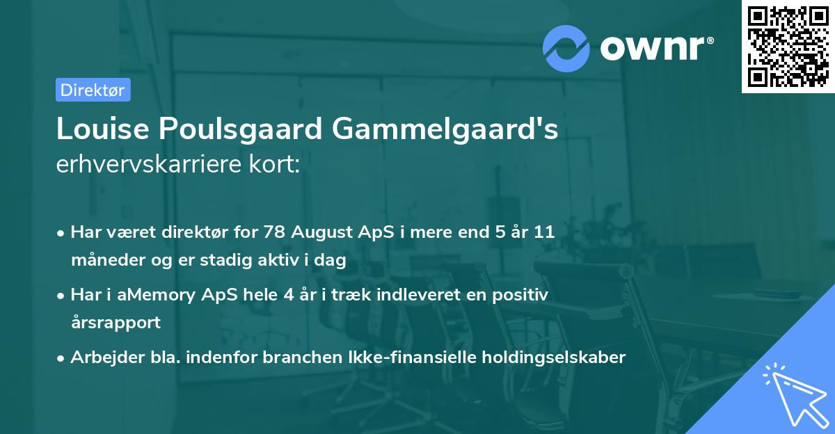 Louise Poulsgaard Gammelgaard's erhvervskarriere kort
