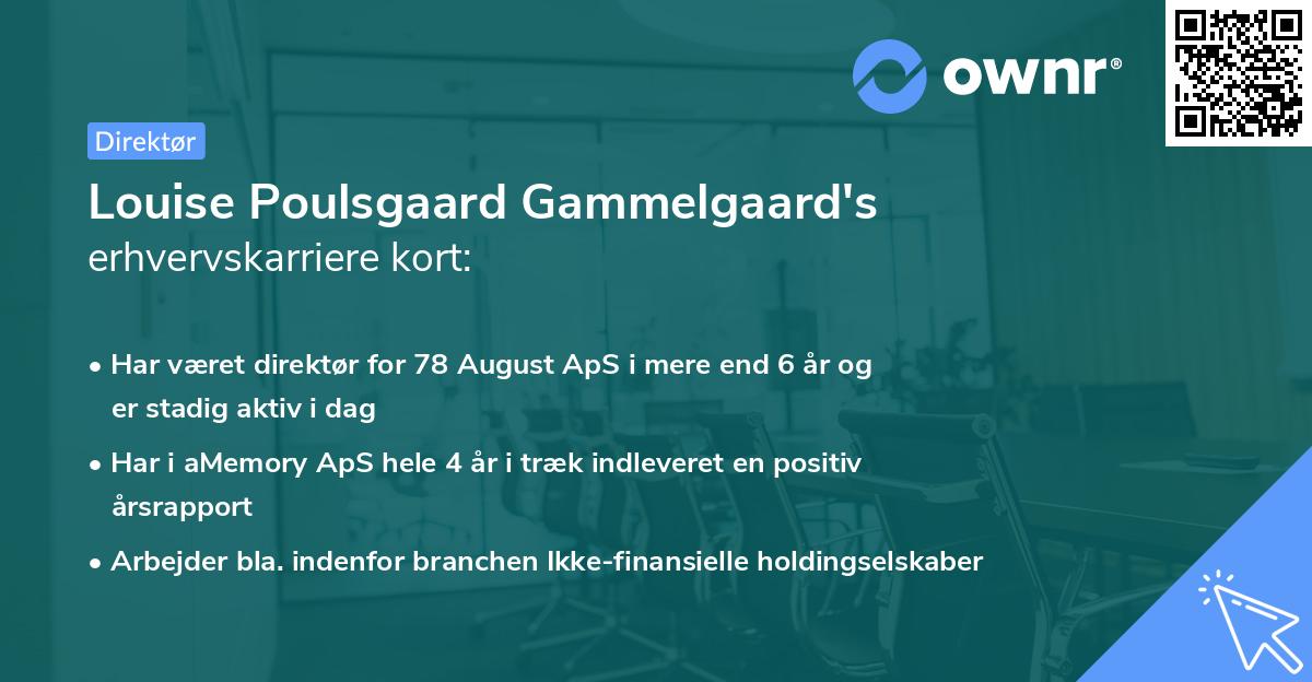 Louise Poulsgaard Gammelgaard's erhvervskarriere kort