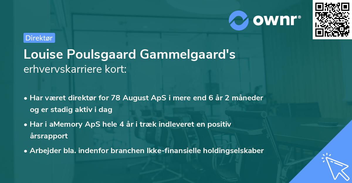 Louise Poulsgaard Gammelgaard's erhvervskarriere kort