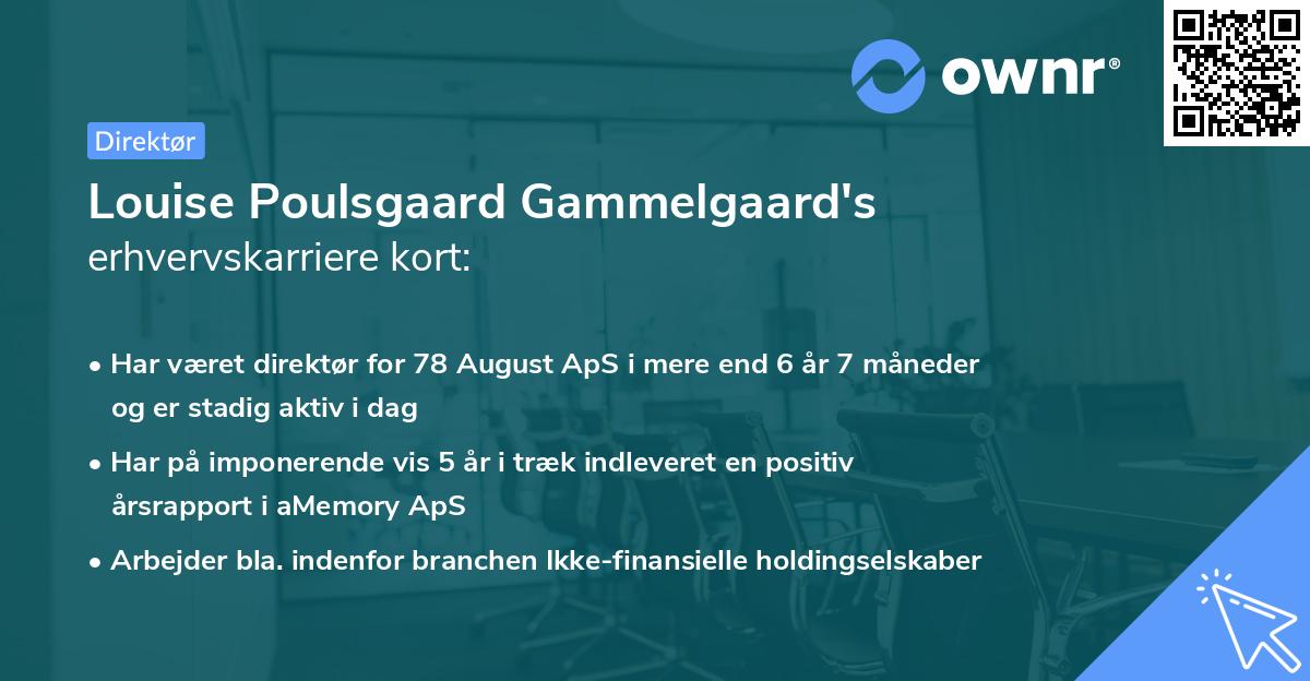 Louise Poulsgaard Gammelgaard's erhvervskarriere kort
