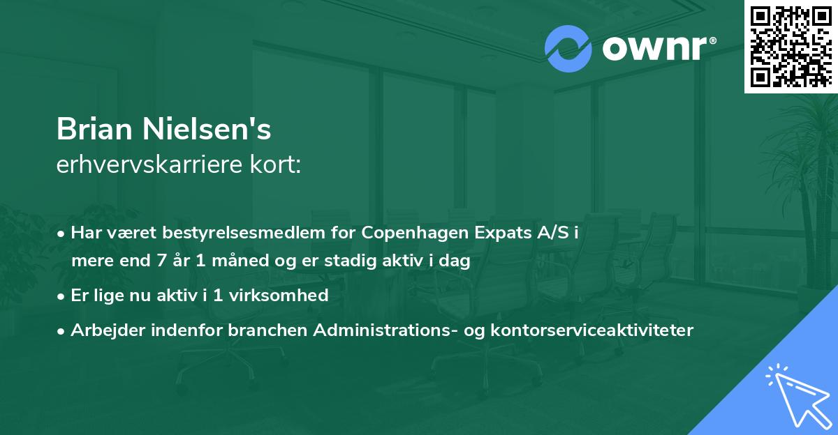 Brian Nielsen's erhvervskarriere kort