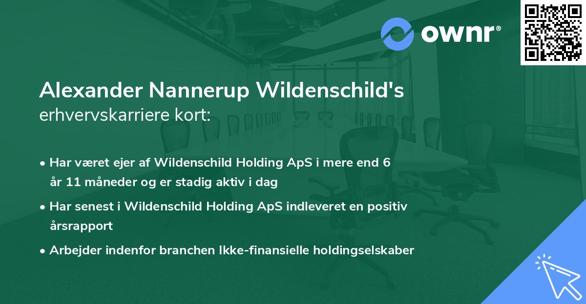 Alexander Nannerup Wildenschild's erhvervskarriere kort