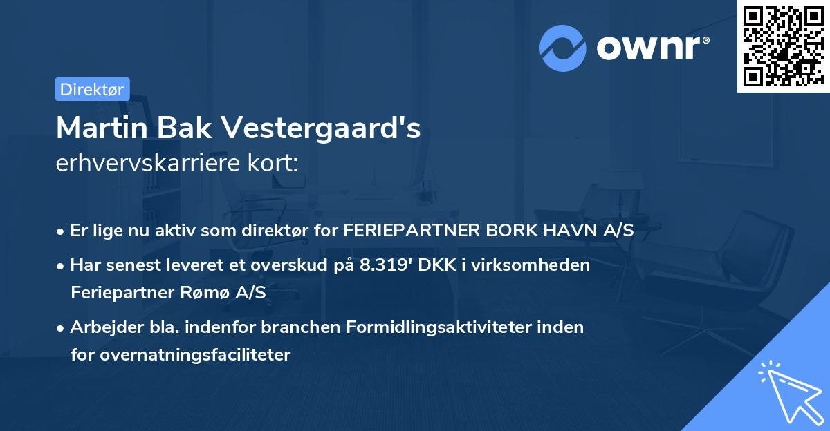 Martin Bak Vestergaard's erhvervskarriere kort