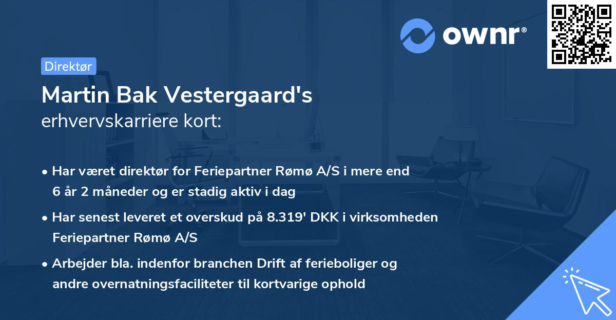 Martin Bak Vestergaard's erhvervskarriere kort
