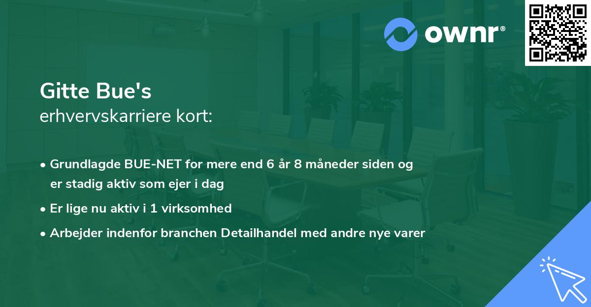 Gitte Bue's erhvervskarriere kort