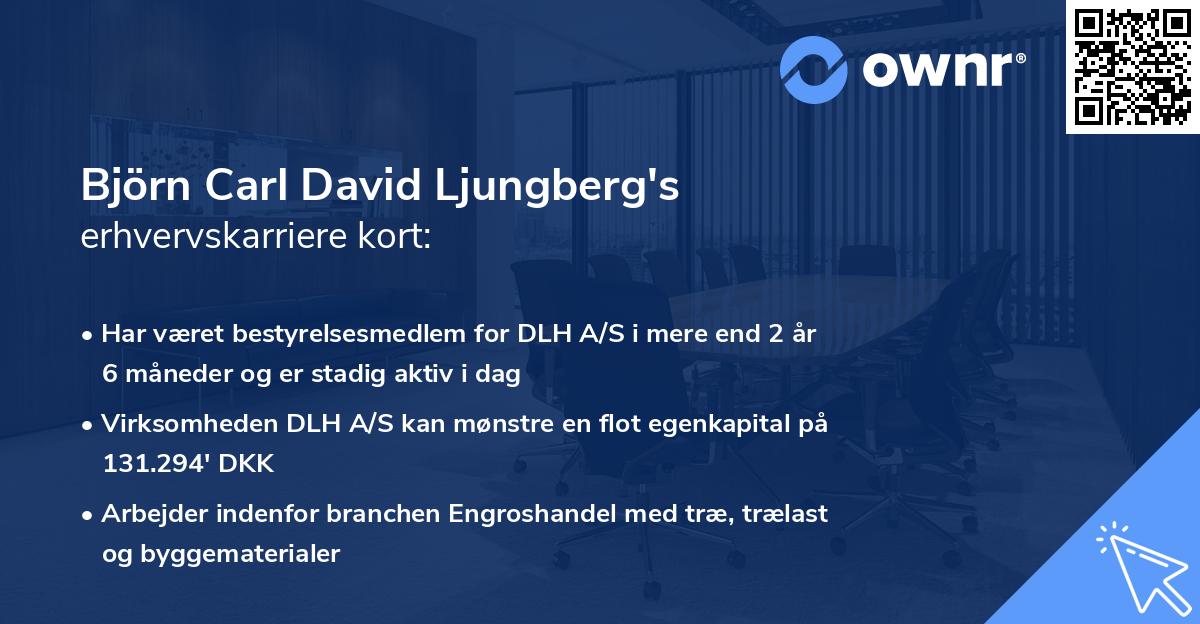 Björn Carl David Ljungberg's erhvervskarriere kort