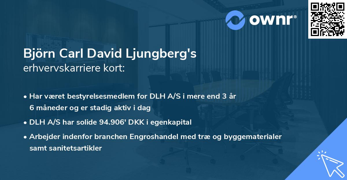 Björn Carl David Ljungberg's erhvervskarriere kort