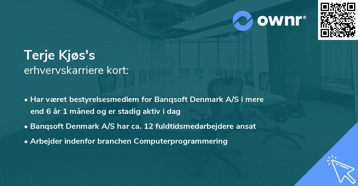 Terje Kjøs's erhvervskarriere kort