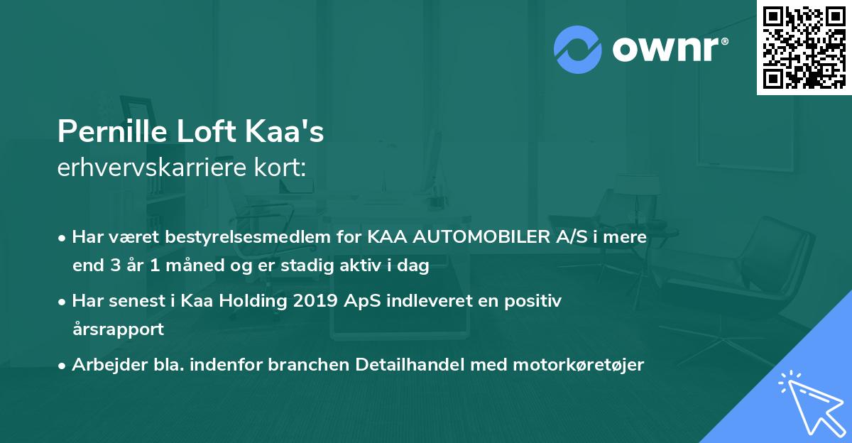 Pernille Loft Kaa's erhvervskarriere kort