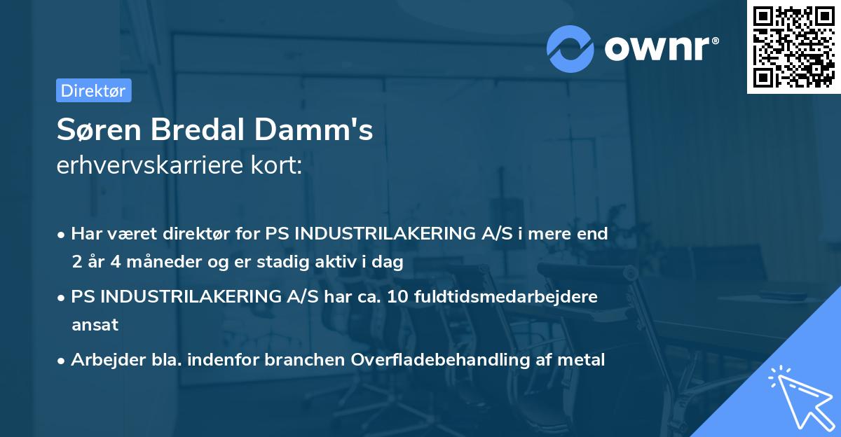 Søren Bredal Damm's erhvervskarriere kort