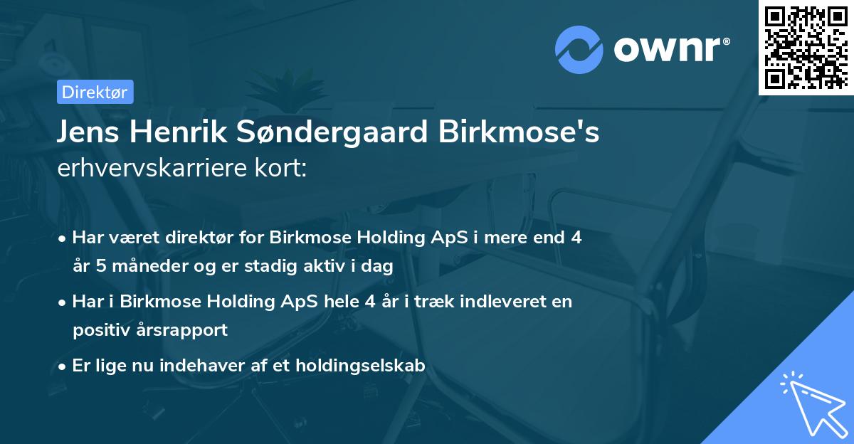 Jens Henrik Søndergaard Birkmose's erhvervskarriere kort