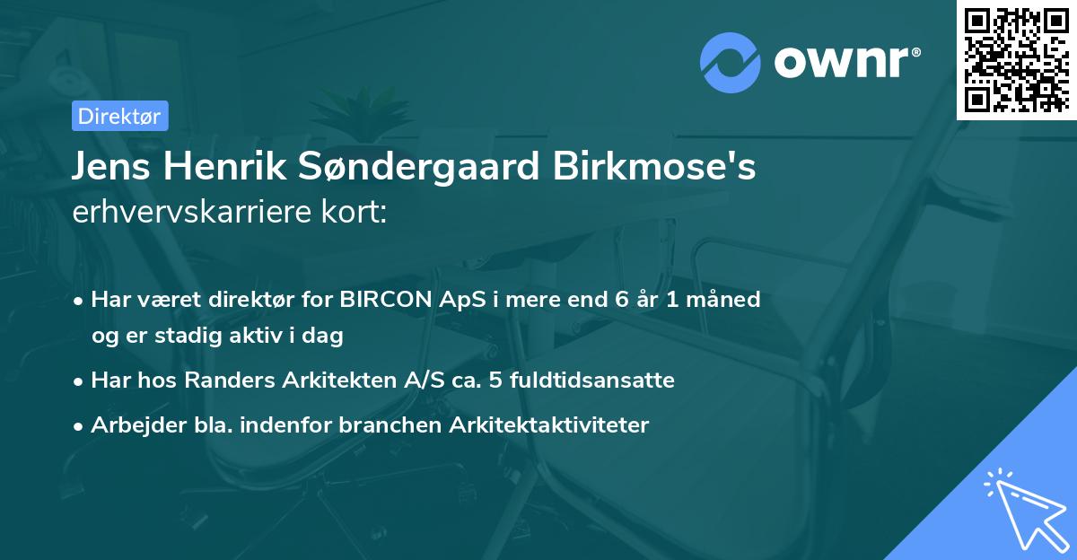 Jens Henrik Søndergaard Birkmose's erhvervskarriere kort