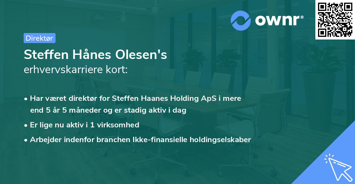 Steffen Hånes Olesen's erhvervskarriere kort