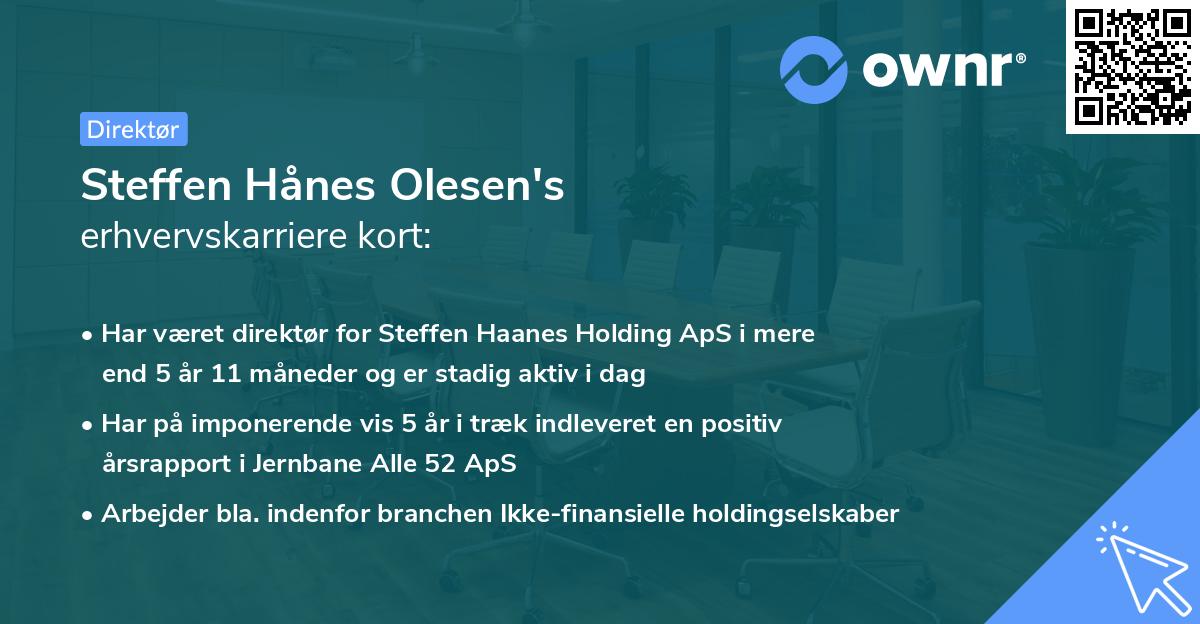Steffen Hånes Olesen's erhvervskarriere kort