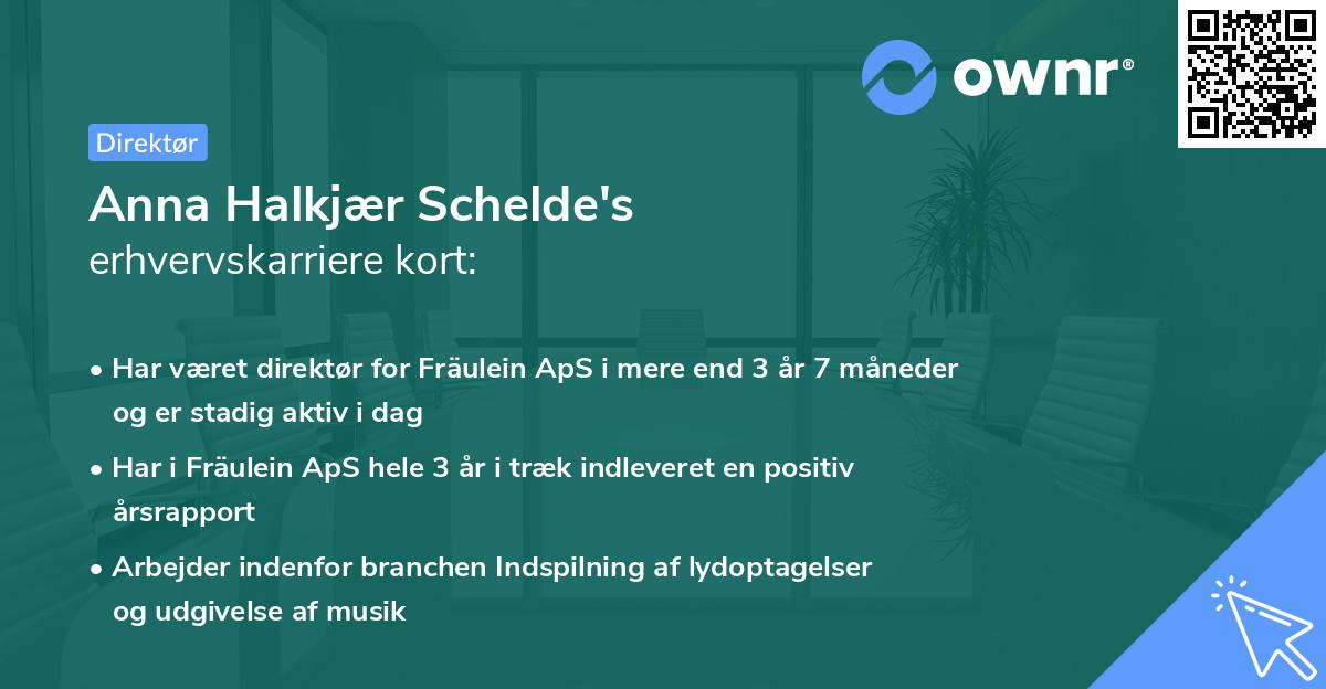 Anna Halkjær Schelde's erhvervskarriere kort