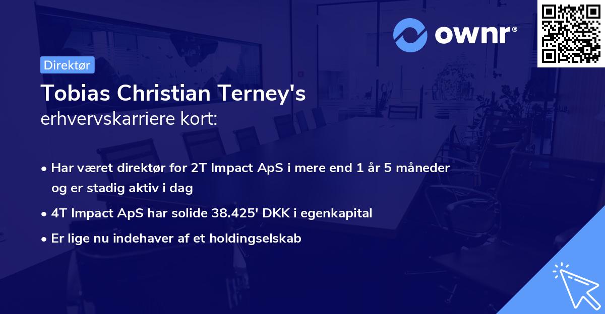 Tobias Christian Terney's erhvervskarriere kort