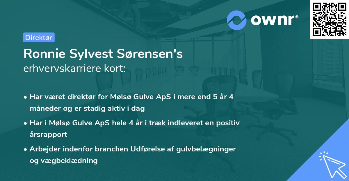 Ronnie Sylvest Sørensen's erhvervskarriere kort