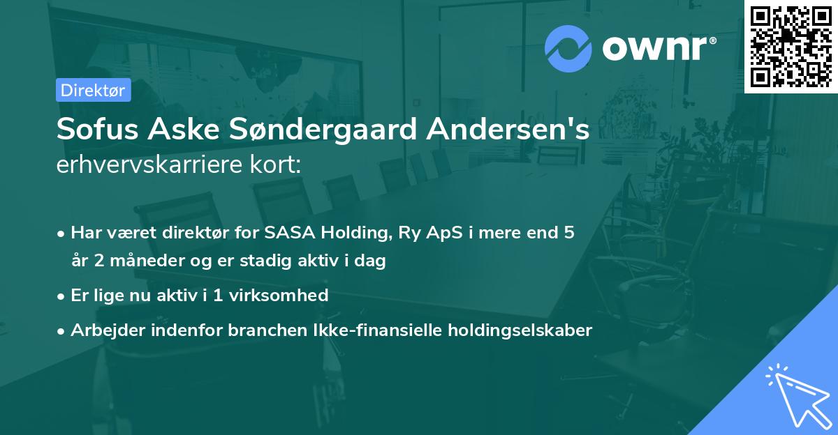 Sofus Aske Søndergaard Andersen's erhvervskarriere kort