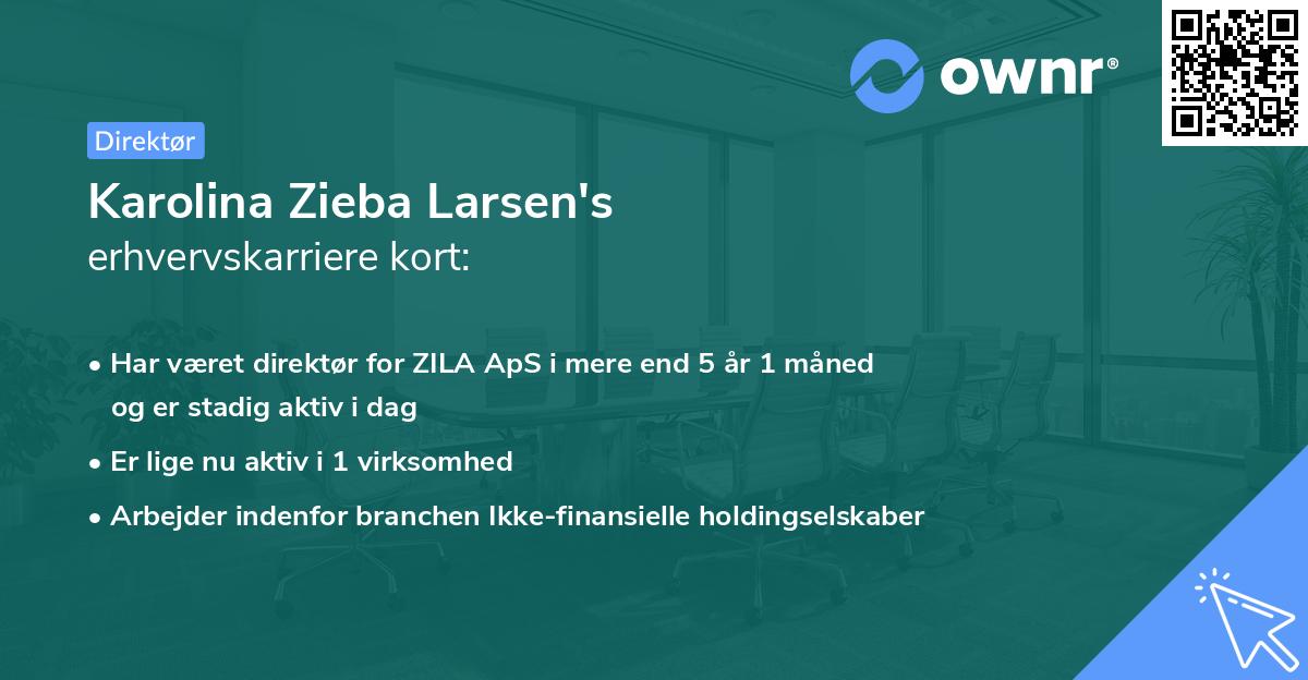 Karolina Zieba Larsen's erhvervskarriere kort