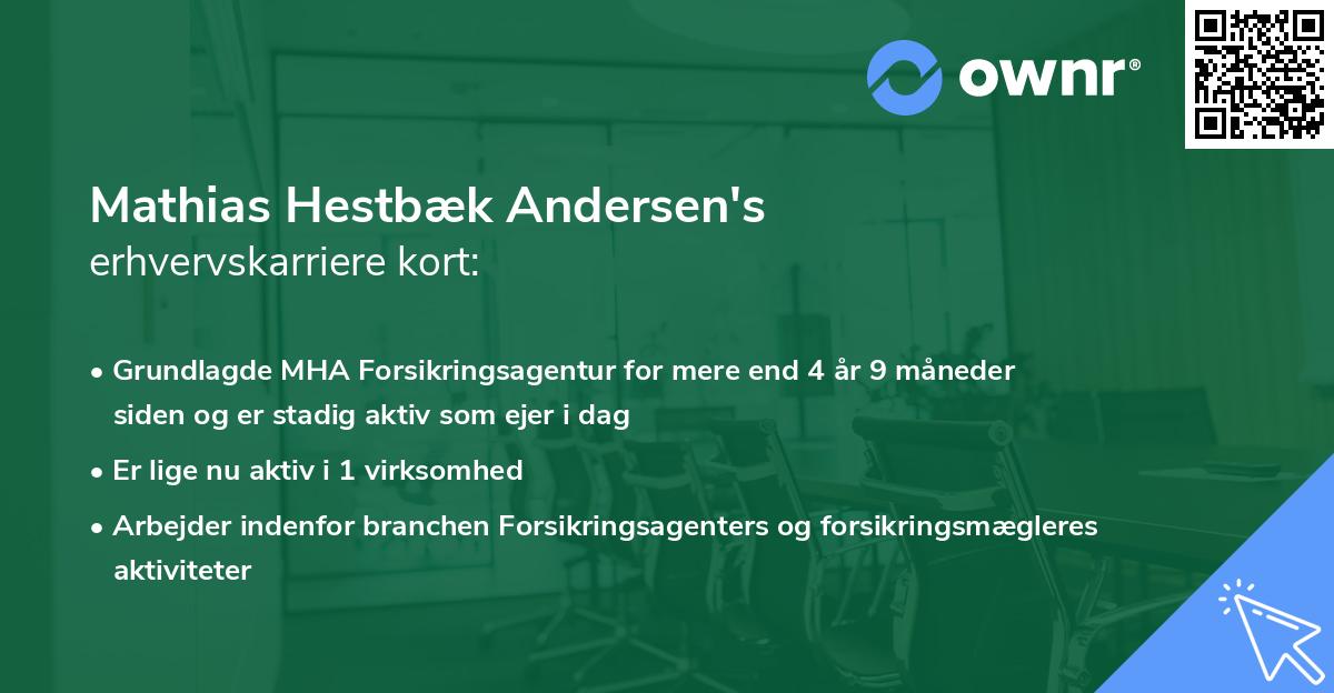 Mathias Hestbæk Andersen's erhvervskarriere kort