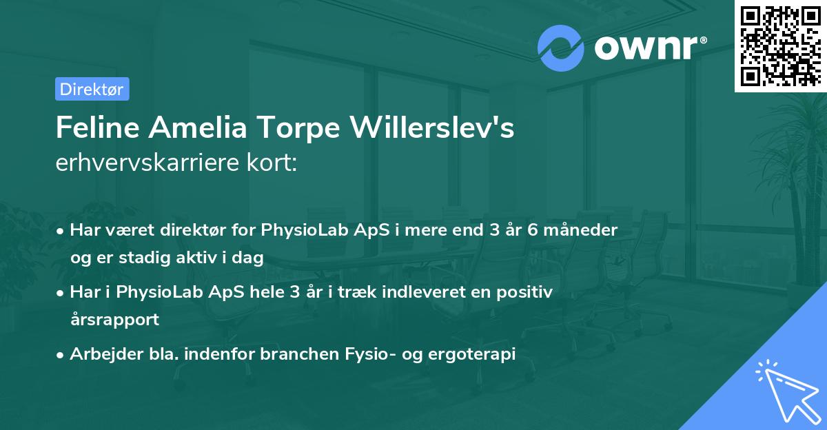 Feline Amelia Torpe Willerslev's erhvervskarriere kort
