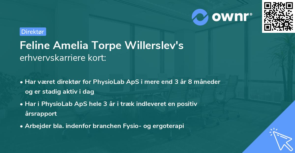 Feline Amelia Torpe Willerslev's erhvervskarriere kort